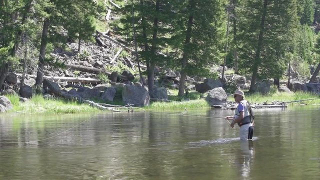 Fisherman flyfishing in the Madison river, Yellowstone, slow motion