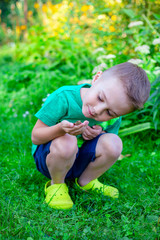 A boy and a frog in the park. Summer time