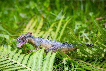 Fierce Tyrannosaurus with large teeth, wild eye. dinosaur model