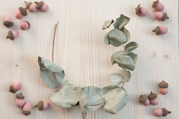 Dried Eucalyptus and Acorns, Backgrounds
