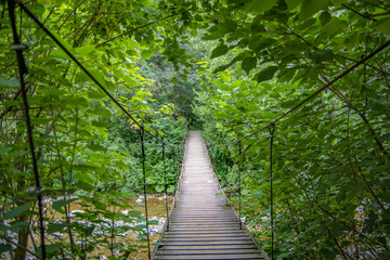 suspension bridge in the forest above the river