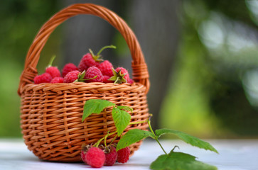 Fototapeta na wymiar Fresh raspberry in the basket