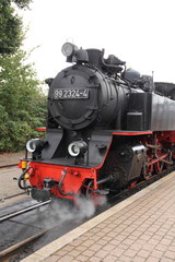 Fototapeta na wymiar Schmalspurbahn Molli 2