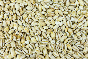 background of pearly grains