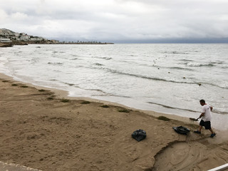 海藻掃除