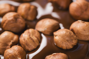 Close-up hazelnuts in melted dark chocolate