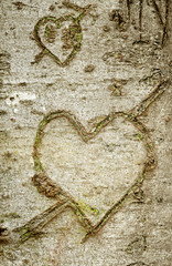 Obraz na płótnie Canvas Heart shape on bark with empty space for text