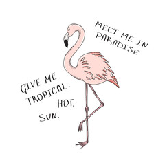 Vector design for women t-shirt with slogans and flamingo. Motivational quotes Meet me in paradise and Give me tropical.