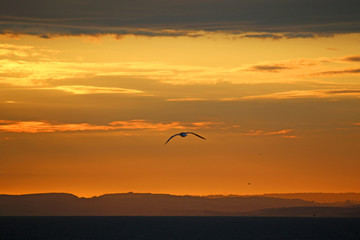 Fototapeta na wymiar Sunset from Chesil Bank