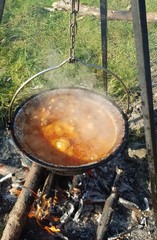 Cauldron cooking on camping trip