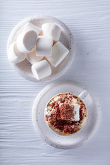 Hot chocolate and marshmallow sprinkled with chocolate chips.