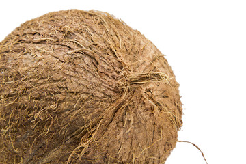 Fresh coconut on white background