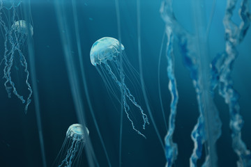 3D illustration background of jellyfish. Jellyfish swims in the ocean sea, light passes through the water, creating the effect of volume-rays. Dangerous blue jellyfish