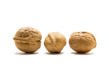 Walnut on white background