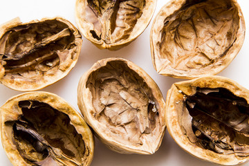 Walnut on white background