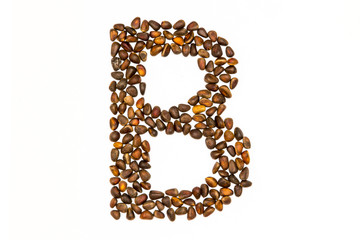 40 / 10000 АНГЛИЙСКИЙ Перевести вGoogleBing The alphabet of the pine nuts on a white background