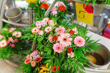 Naklejka premium Gerbera flowers for sale