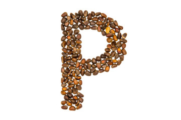 40 / 10000 АНГЛИЙСКИЙ Перевести вGoogleBing The alphabet of the pine nuts on a white background