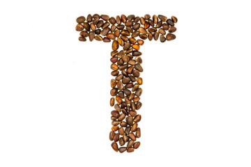 40 / 10000 АНГЛИЙСКИЙ Перевести вGoogleBing The alphabet of the pine nuts on a white background