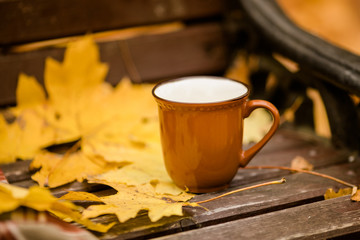 The brown cup on the brunch near yellow leaves