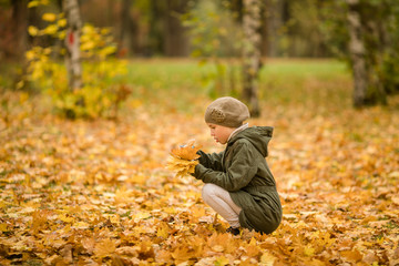 Nice girl in the green hat and coat with yellow leaves in the autumn park
