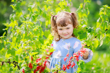 Adorable happy little girl at the garden, eating red currant and smiling