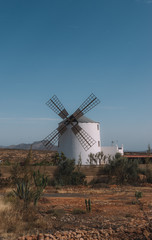 Fototapeta premium Windmill in Fuerteventura
