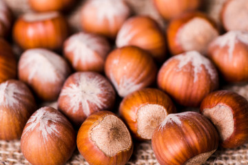 Brown hazel nut