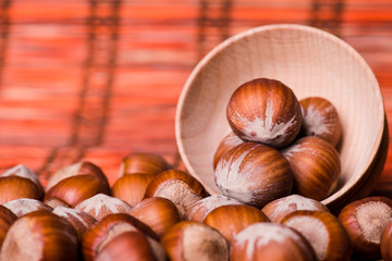 Brown hazel nut