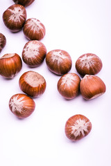 Brown hazel nut