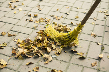 broom and autumn leaves