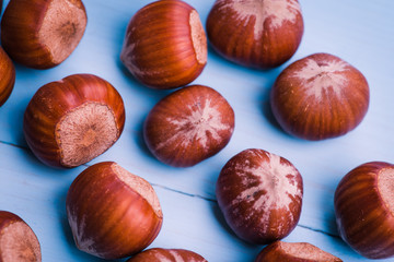Brown hazel nut