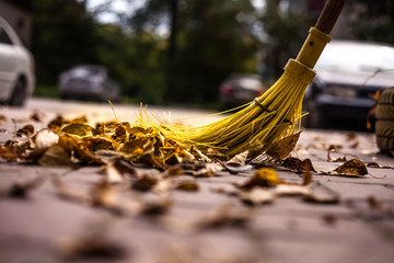 autumn leaves cleaning - 221669594