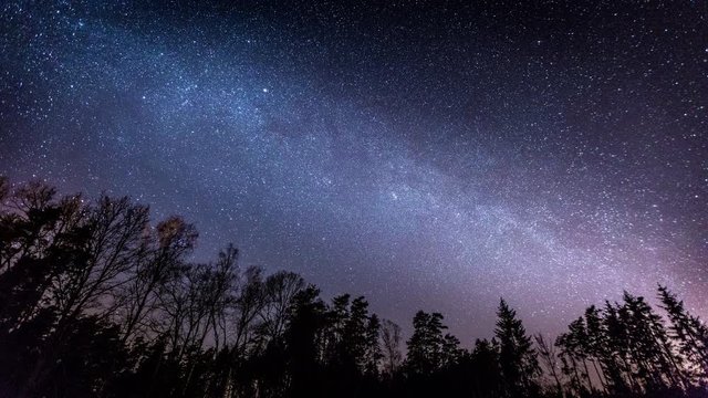 4k time-lapse with Milky Way and starry sky over forest. European sky at spring. 3840x2160