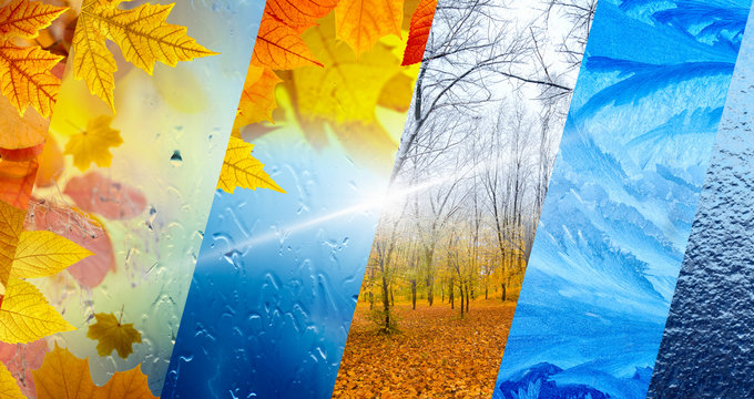 Fall and winter seasonal background, weather forecast concept