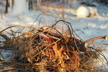 Campfire on the snow in winter forest