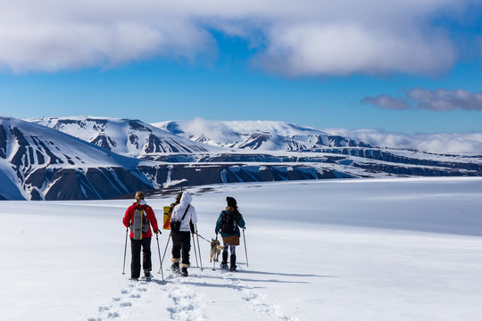 Snowshoeing with a husky in Svalbard