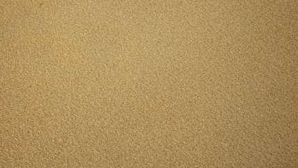 Textural background of small wooden sawdust of yellow color.