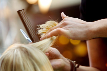 Hairdresser cuts the hair of the client with scissors in the hairdressing salon