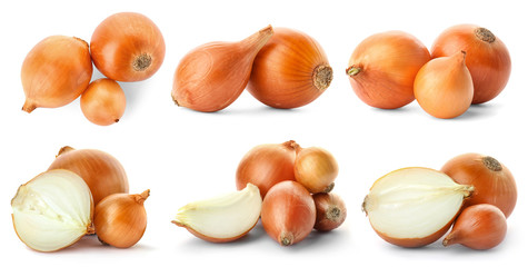 Set with fresh onions on white background