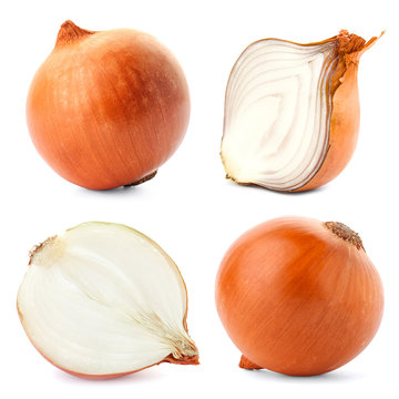 Set with fresh onions on white background
