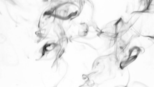 Black smoke rings go up, on a white background.