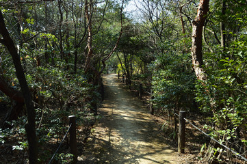 A sunny Winter Park, a walking path in the sun
