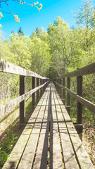 long wooden bridge in the forest