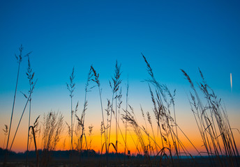 Obraz premium Hunter lookout tower in the morning