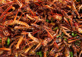 Thai food at market. Fried insects mealworms for snack. Fried grasshoppers.