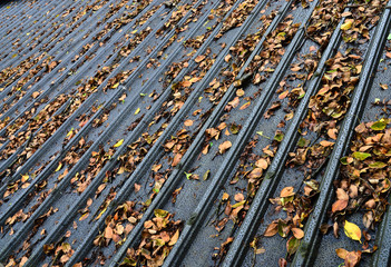 Iron roof of a building with lots of autumn leaves falling on it. There are grey, brown, green and yellow colors in the image. 