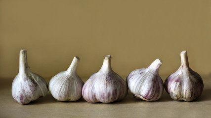 Fresh garlic harvest, wholesome food