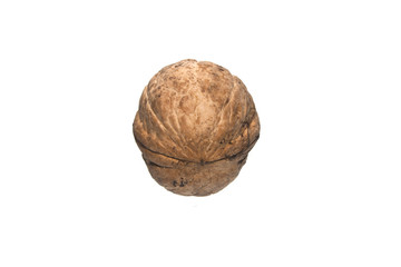 walnut isolated on white background