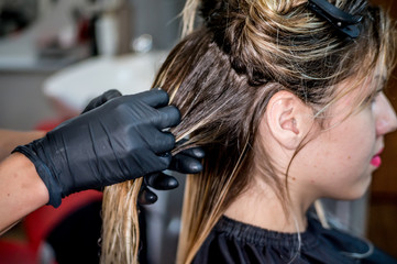 Fototapeta premium The hairdresser applies nutritious and healing components to damaged hair, applying botox to the hair, combs every strand